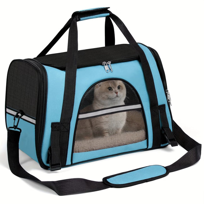 Blessing Sells blue ventilated cat carrier with mesh windows and a Scottish Fold cat peeking out.