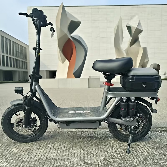 Smart Electric Scooter for Adults